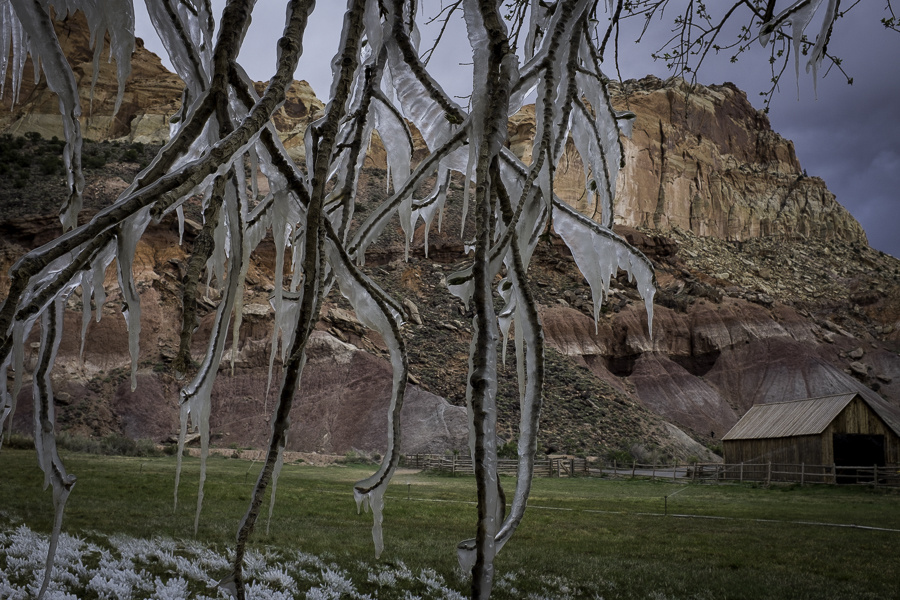 Capitol Reef National Park