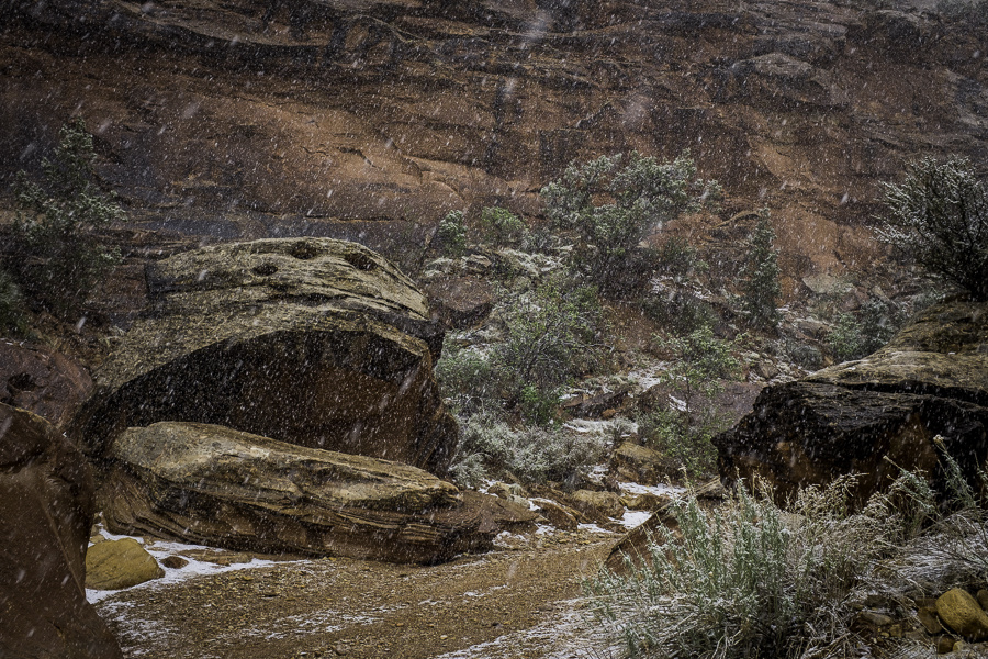 Capitol Reef National Park